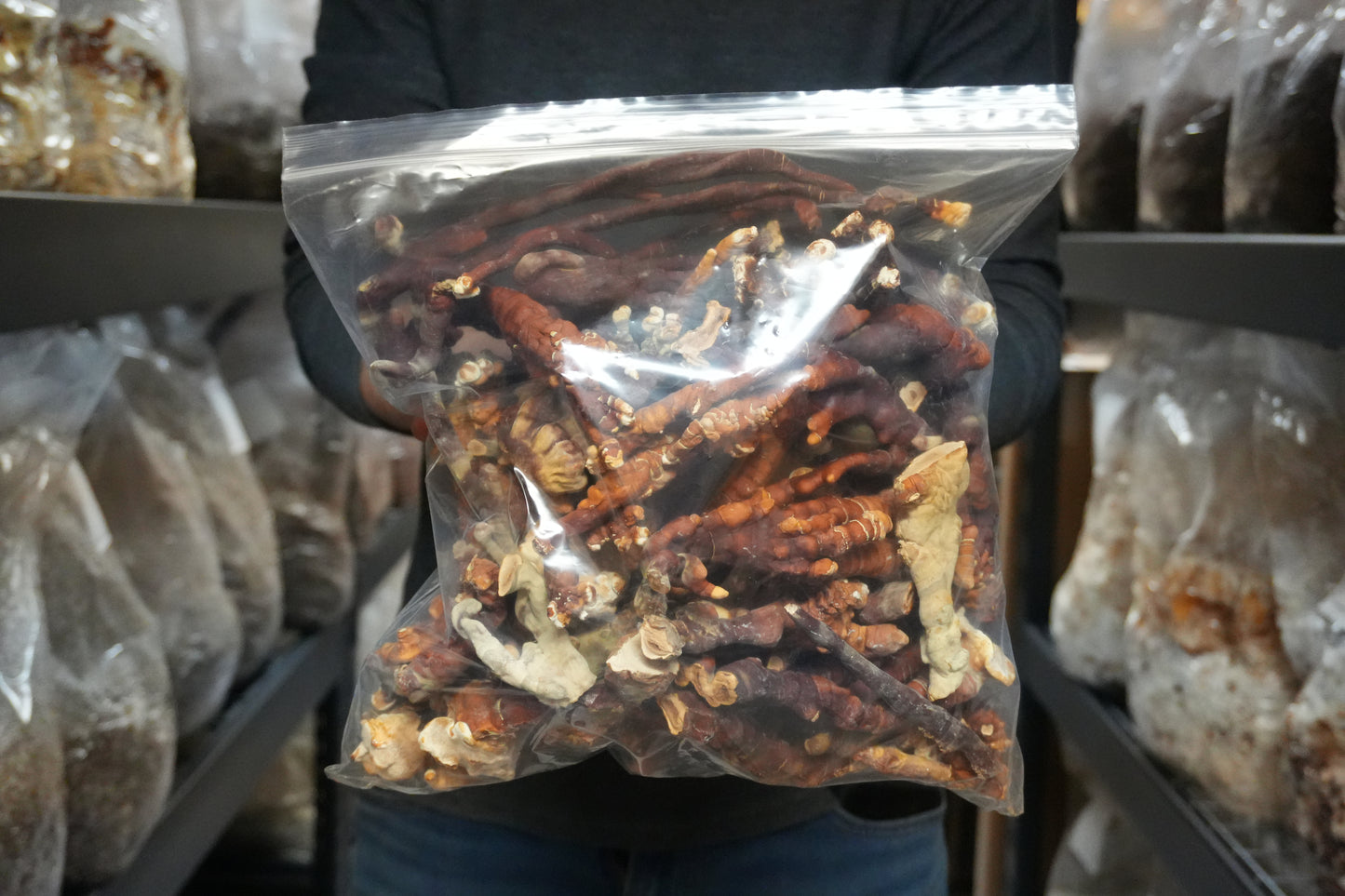 Premium Dried Reishi Mushrooms | USA Grown | Fruiting Body | Deep Creek Mushrooms