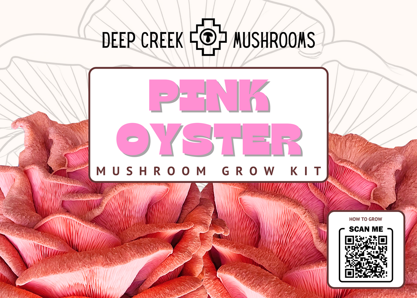 Pink Oyster Mushroom Grow Kit (5LB)