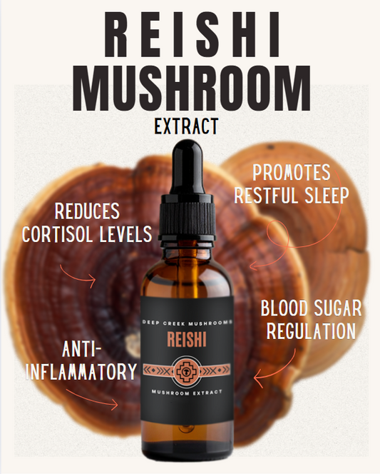 Reishi Extract | Dual Extracted | Fruiting Body Mushroom