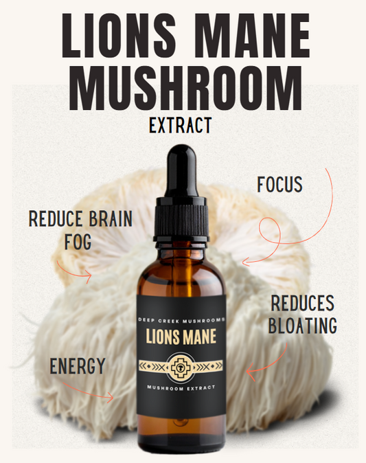 Lions Mane Extract | Dual Extracted | Fruiting Body Mushroom
