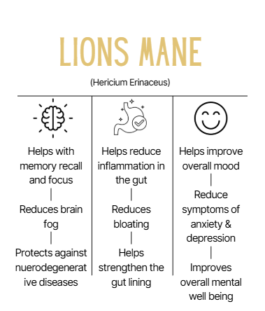 Lions Mane Extract | Dual Extracted | Fruiting Body Mushroom