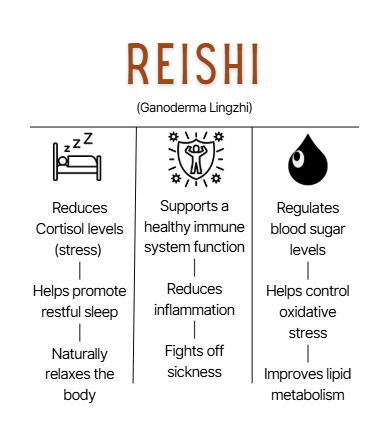 Reishi Extract | Dual Extracted | Fruiting Body Mushroom