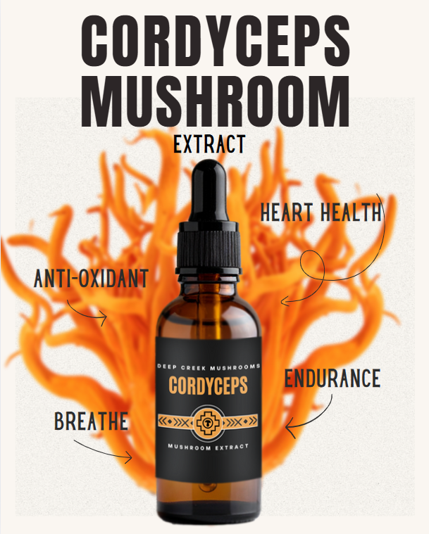 Cordyceps Extract | Dual Extracted | Fruiting Body Mushroom