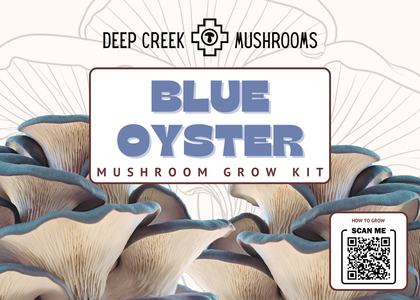 Blue Oyster Mushroom Grow Kit (5LB)