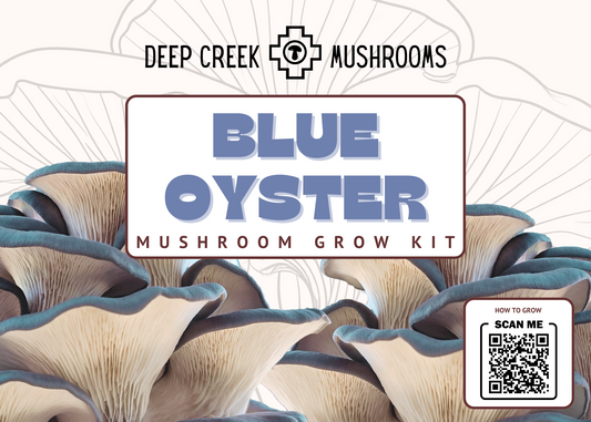 Blue Oyster Mushroom Grow Kit (5LB)