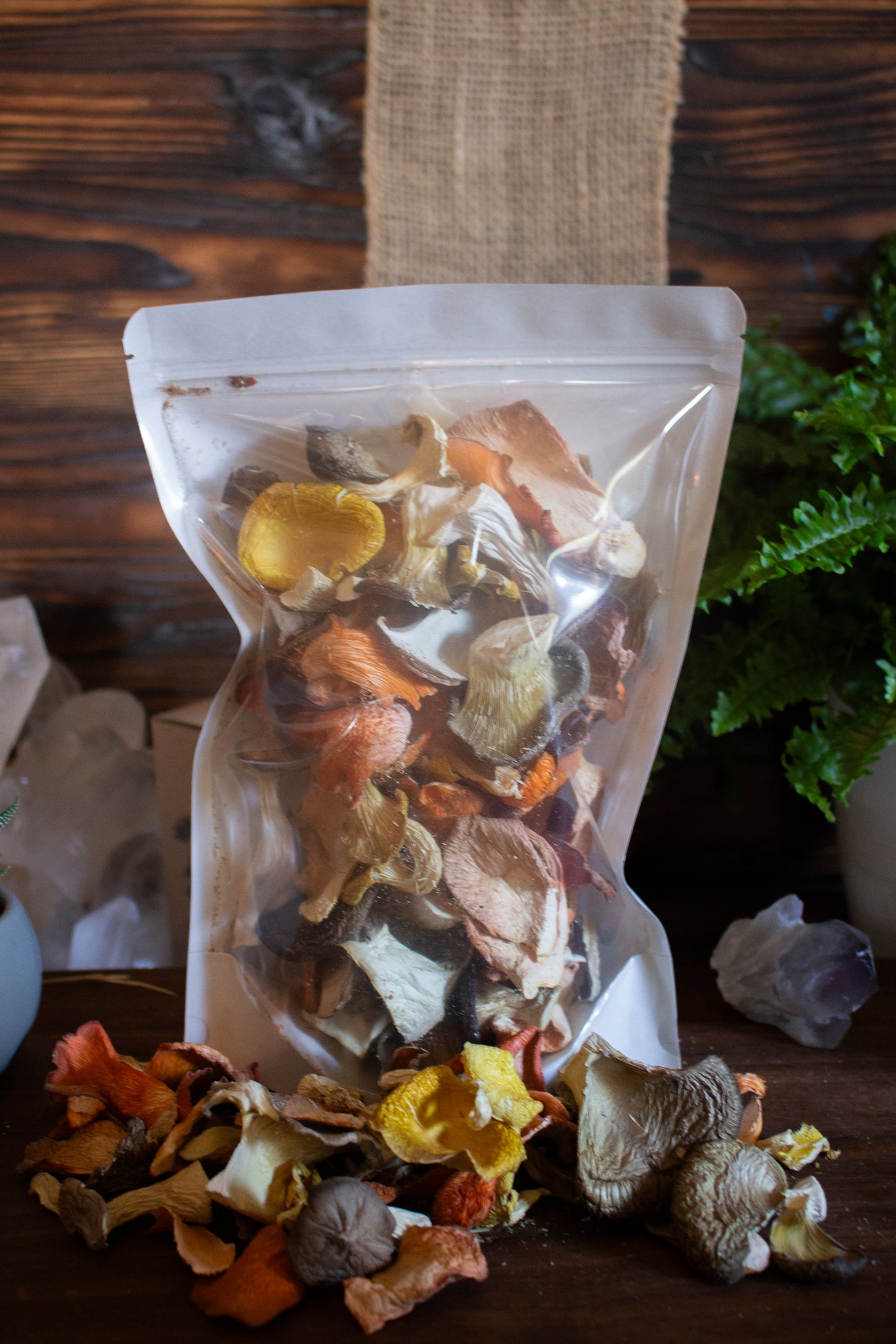 Clear bag of dried mushrooms on a wooden surface with a plant in the background