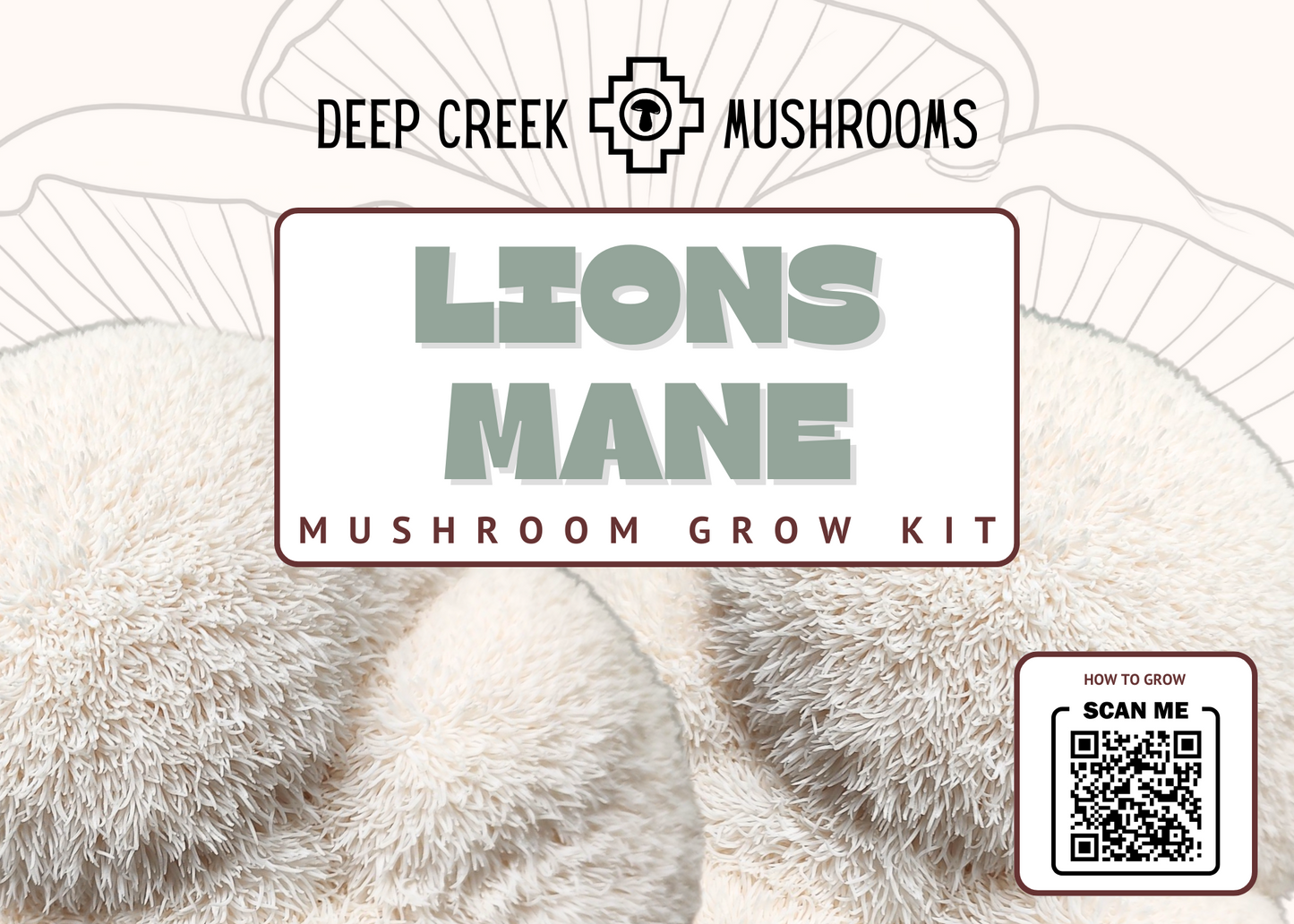 Lions Mane Mushroom Grow Kit (5LB)