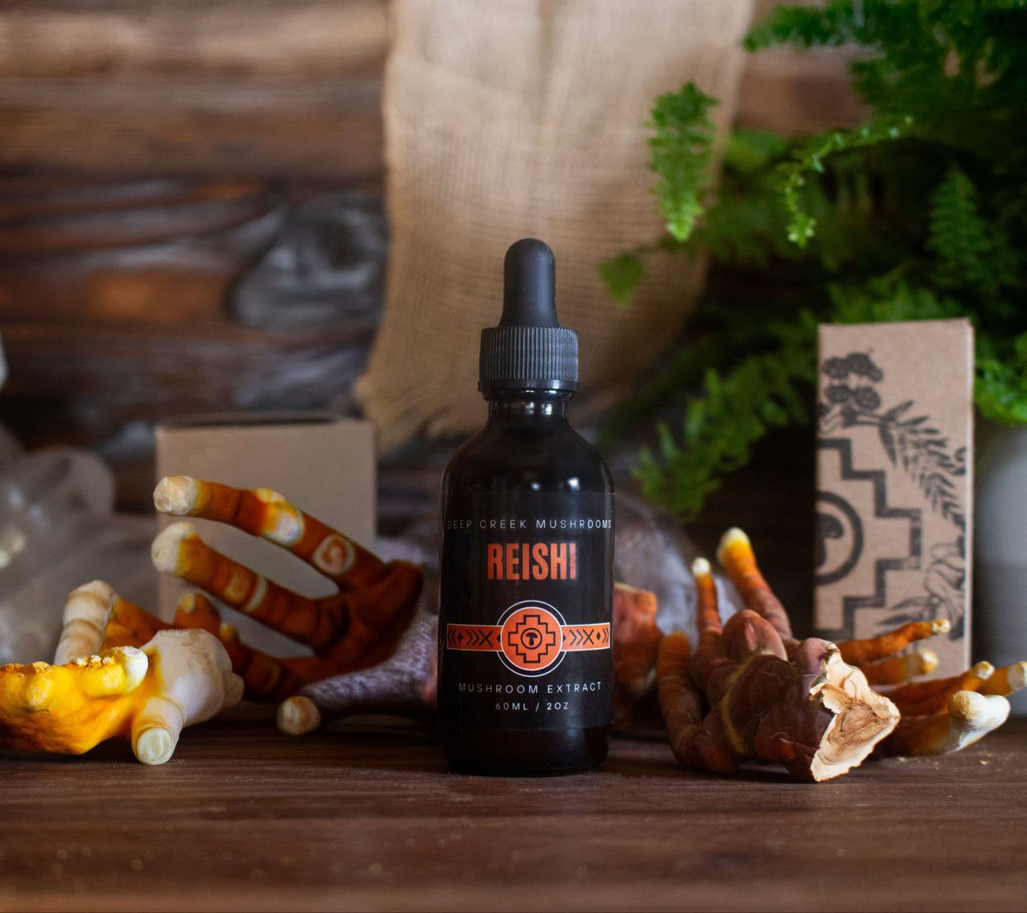 Bottle of Reishi mushroom extract on a wooden surface with natural elements in the background