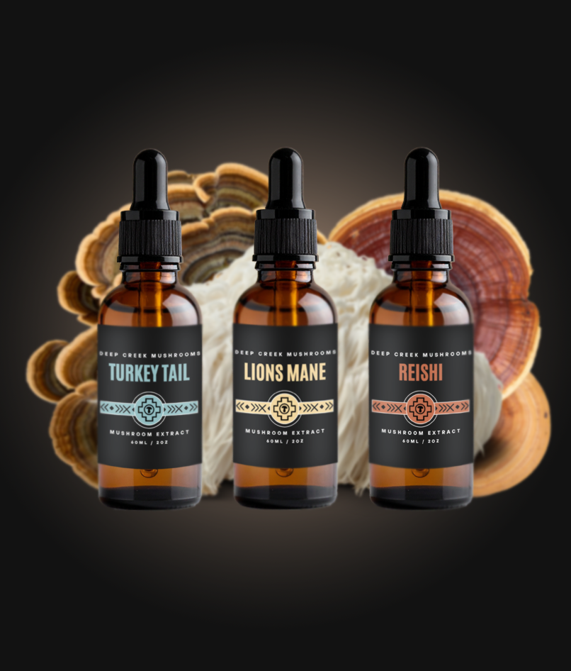 Three mushroom tincture bottles labeled 'Turkey Tail', 'Lions Mane', and 'Reishi' on a dark background.