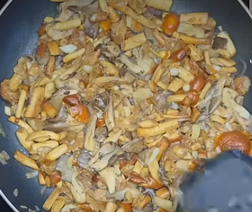 Mushroom Pasta (Chestnuts & Blue Oyster)