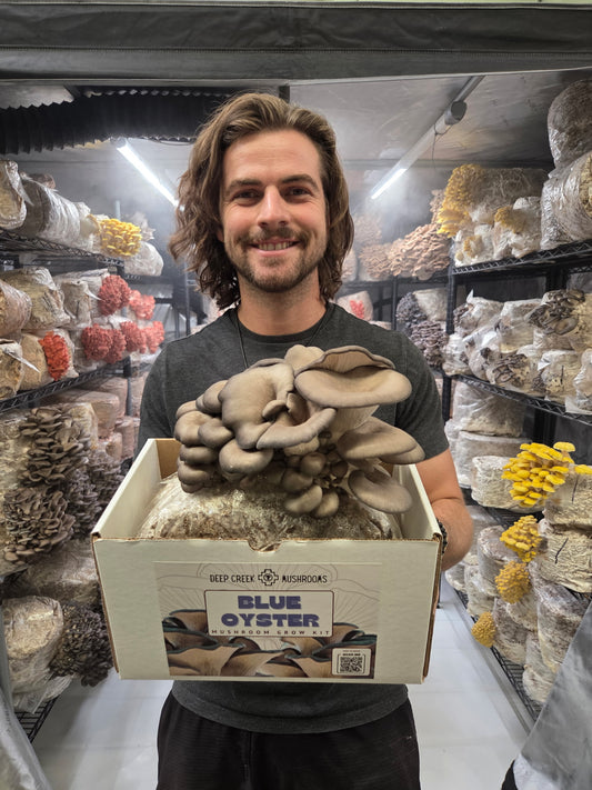 Blue Oyster Mushroom Grow Kit (5LB)