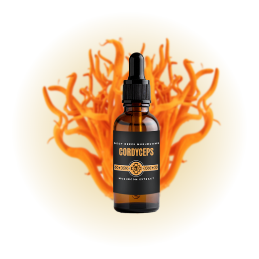 Cordyceps Glycerite Extract (2oz) | Alcohol Free | Fruiting Body Mushroom