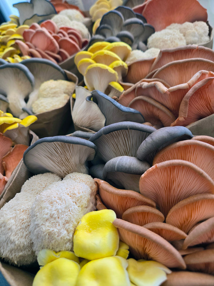 Upland Farmers Market