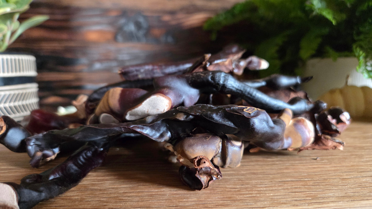 Dried Reishi mushrooms on a wooden surface with a blurred background