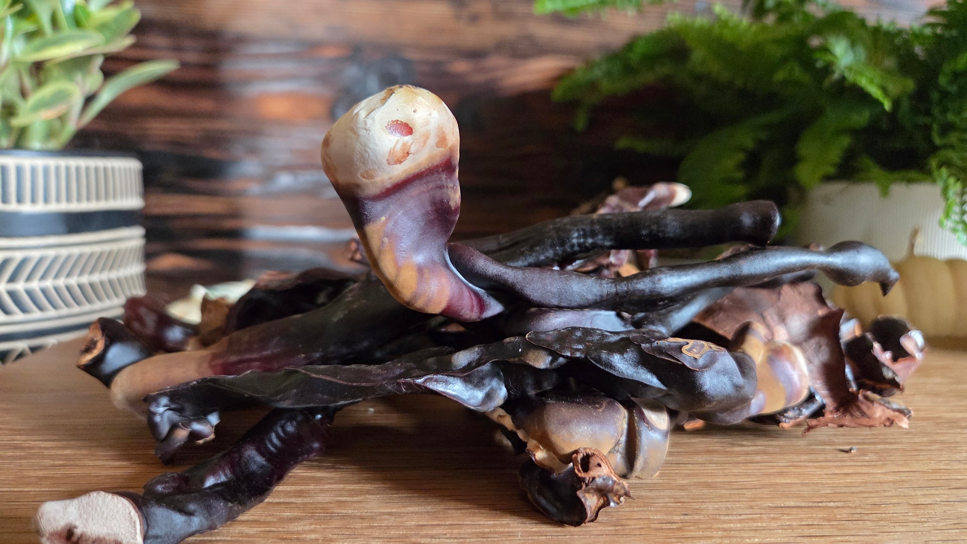 Dried Reishi mushrooms on a wooden surface with a blurred background