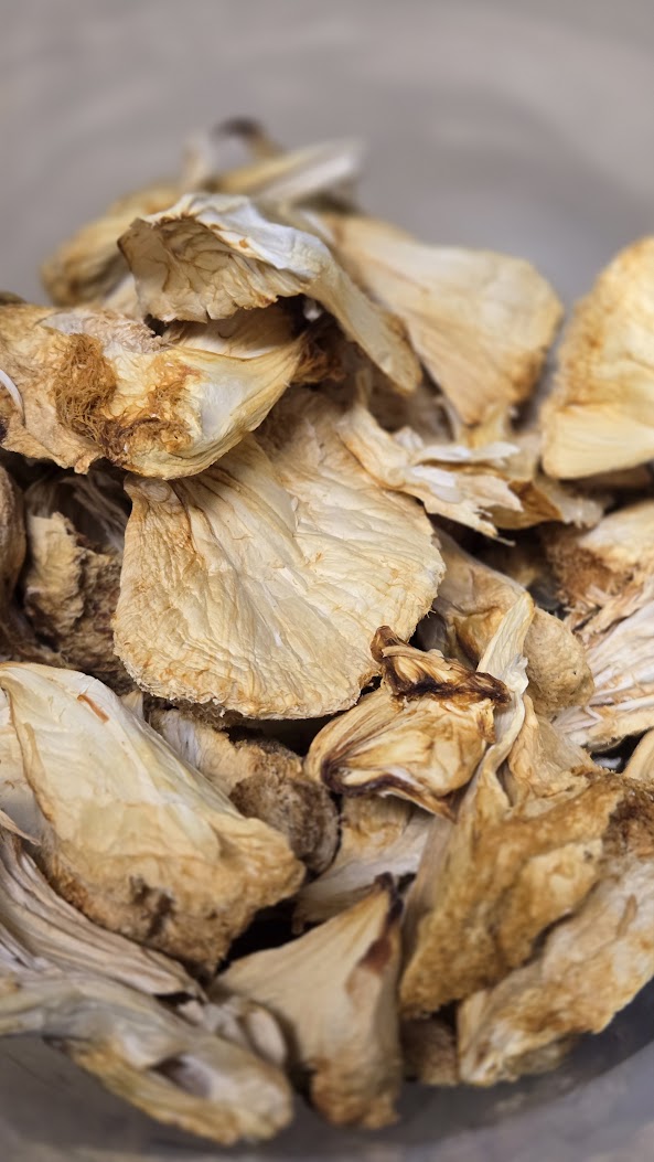 Premium Dried Lions Mane Mushrooms | USA Grown | Fruiting Body | Deep Creek Mushrooms