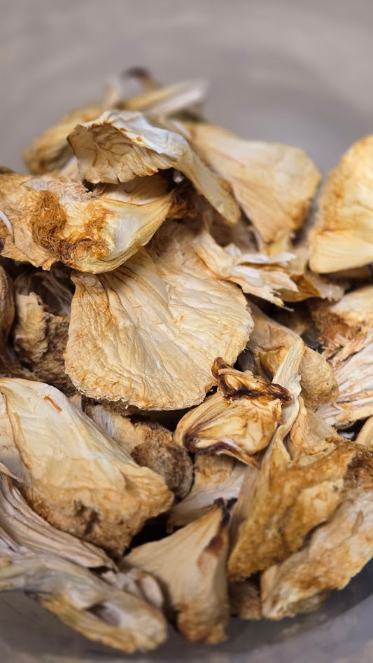 Premium Dried Lions Mane Mushrooms | USA Grown | Fruiting Body | Deep Creek Mushrooms