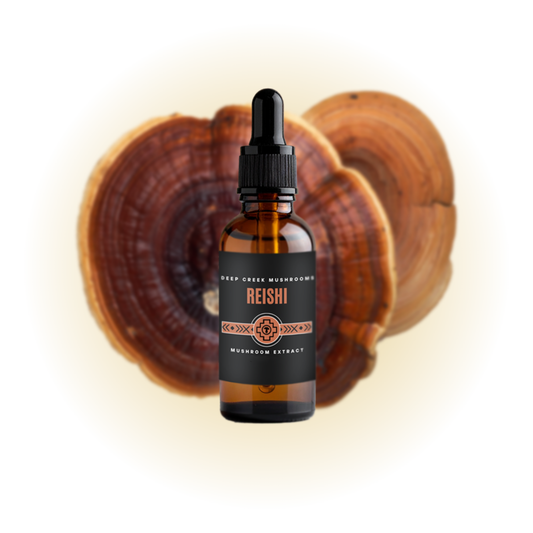 Reishi Glycerite Extract (2oz) | Alcohol Free | Fruiting Body Mushroom