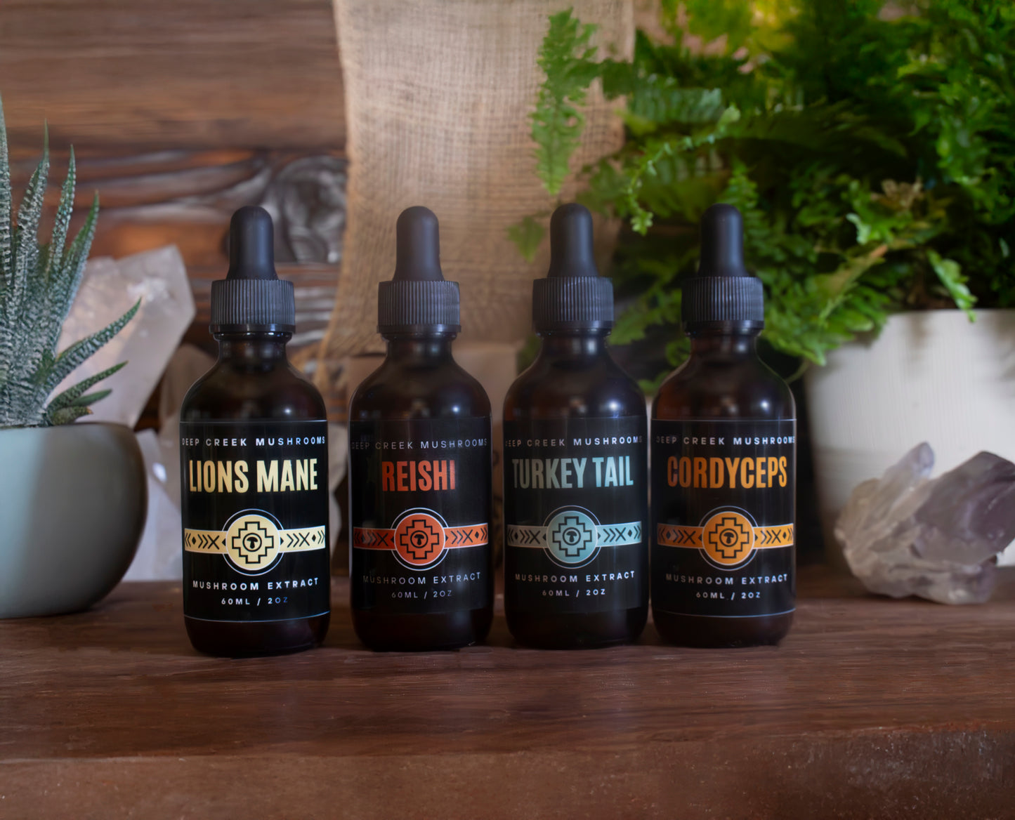 Total Wellness | 4-Pack | Dual Extracted | Fruiting Body Mushroom