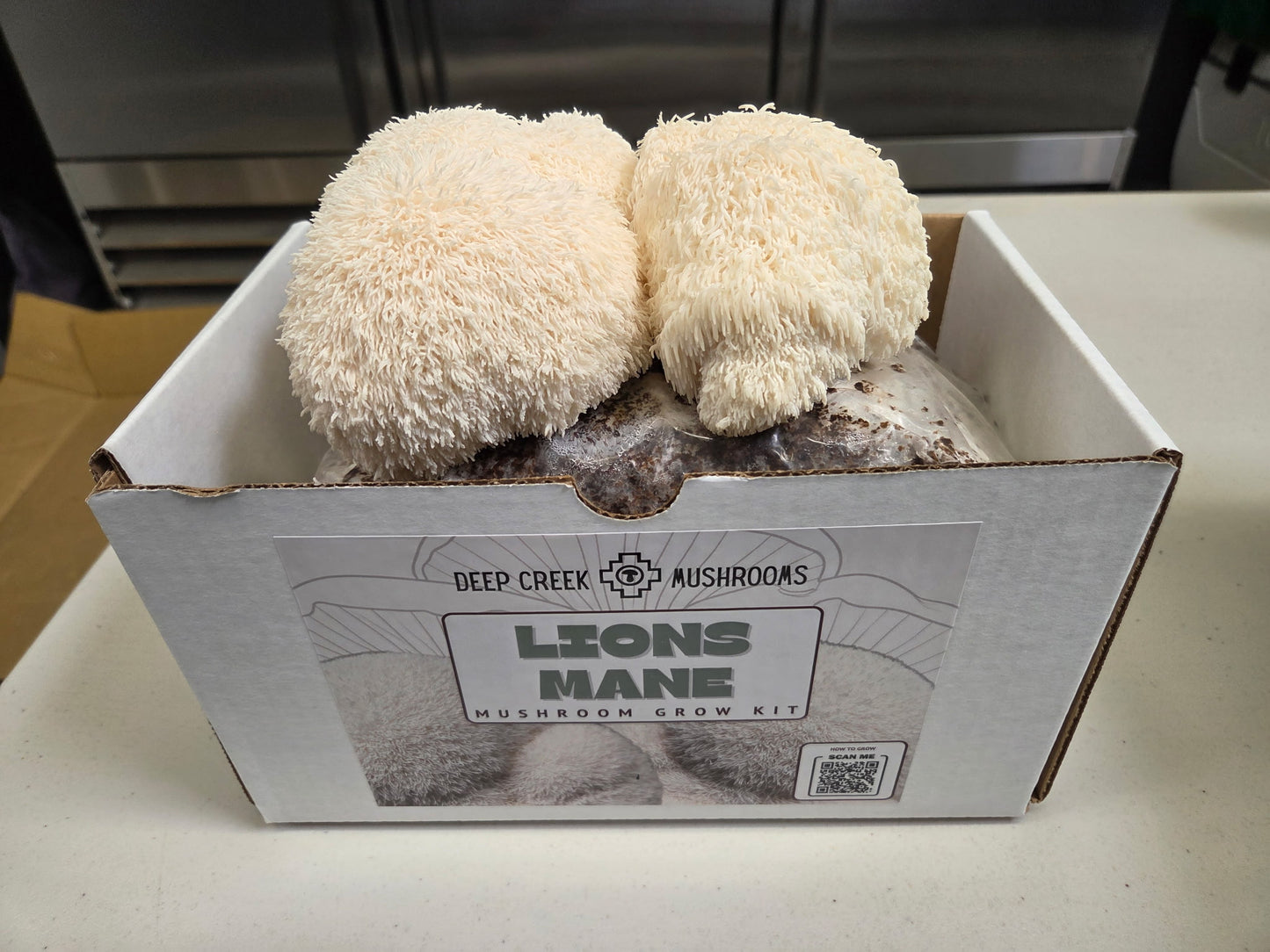 Lions Mane Mushroom Grow Kit (5LB)