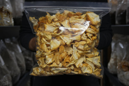 Premium Dried Lions Mane Mushrooms | USA Grown | Fruiting Body | Deep Creek Mushrooms