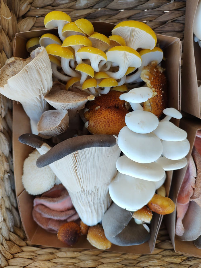 Big Bear Farmers Market