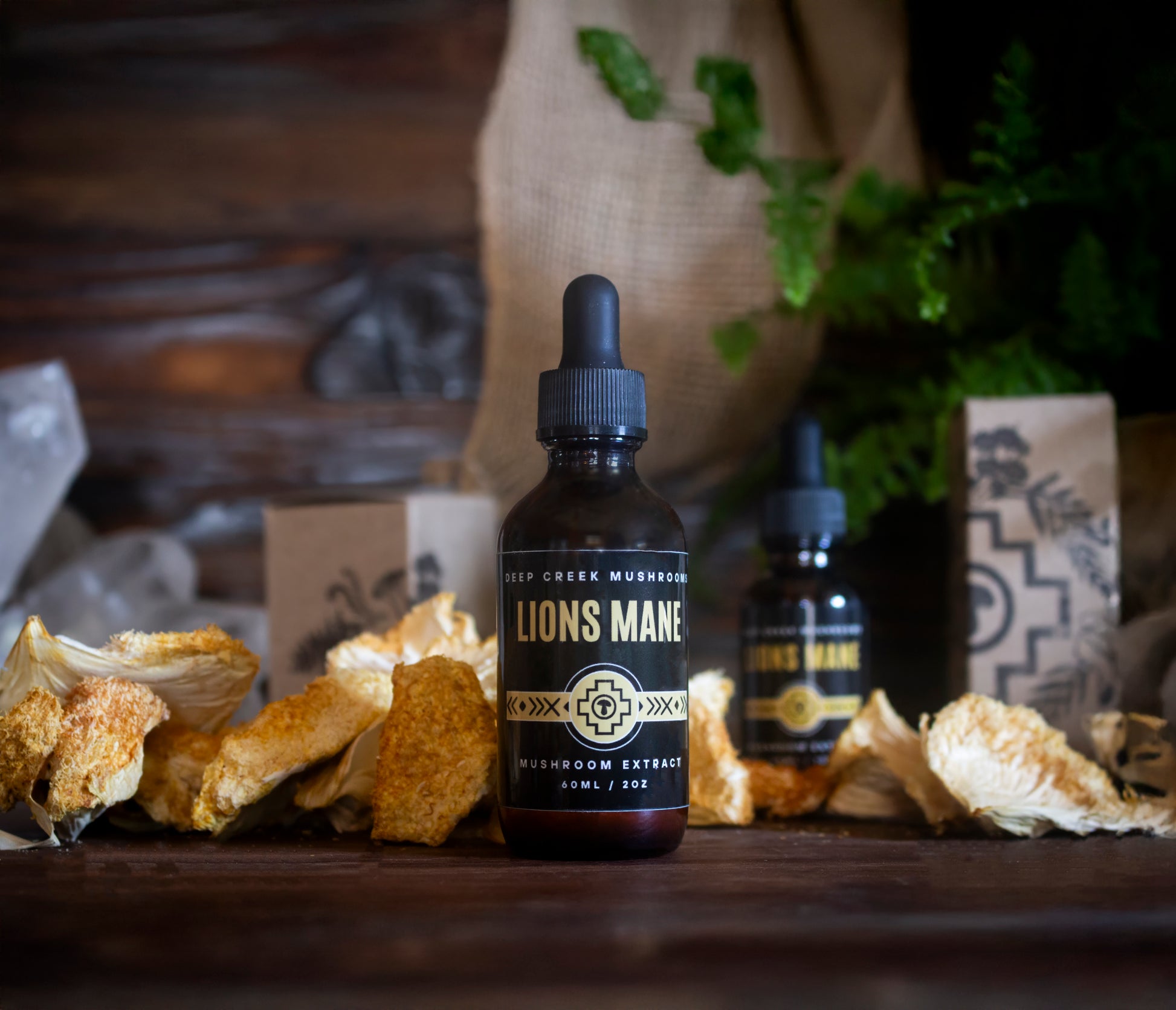 Bottle of Lions Mane mushroom extract on a wooden surface with dried mushrooms and plants in the background.