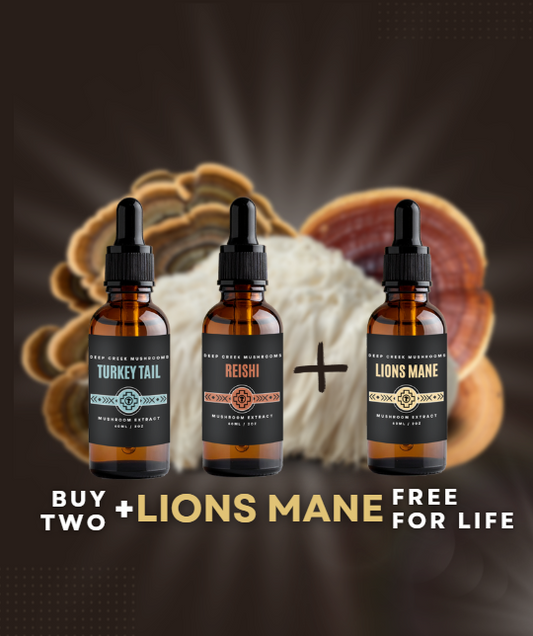 Vitality Pack with FREE Lions Mane LIMITED OFFER