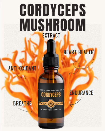 Bottle of Cordyceps mushroom extract with text highlighting benefits on a white background