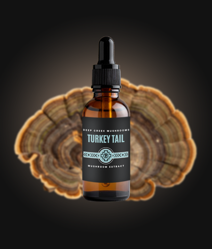 Bottle of Deep Creek Mushroom Turkey Tail extract with a dark background