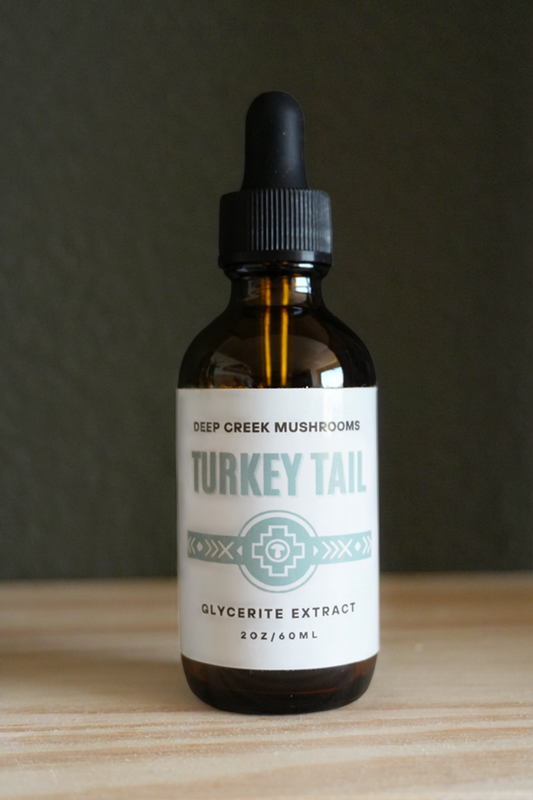 Turkey Tail Glycerite Extract (2oz) | Alcohol Free | Fruiting Body Mushroom