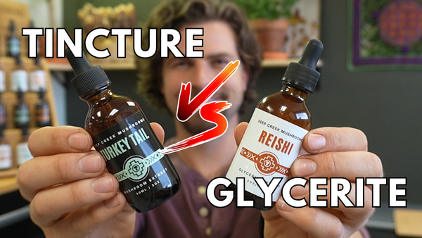 Glycerite vs. Tincture