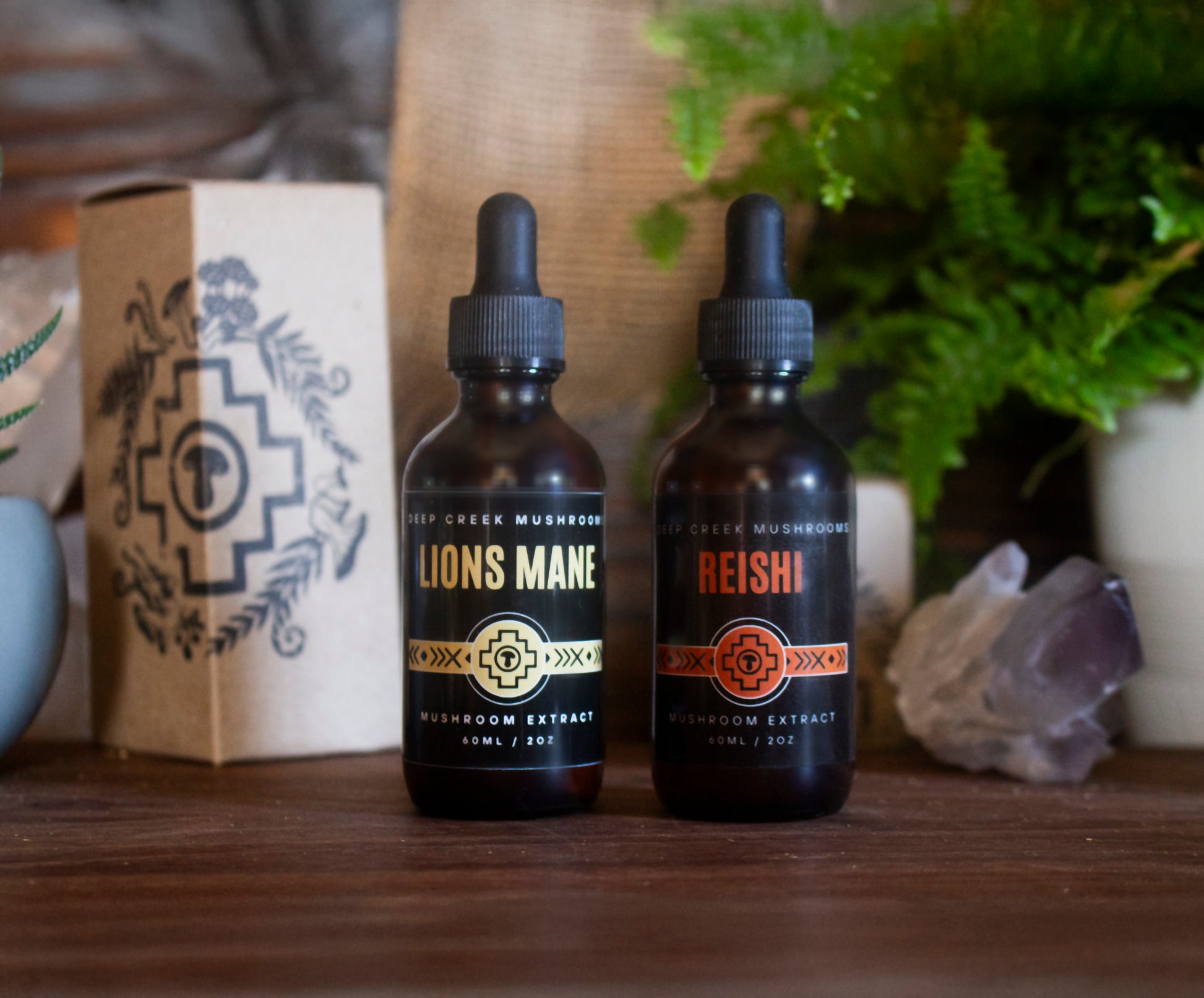 Two bottles of mushroom extract labeled 'Lions Mane' and 'Reishi' on a wooden surface with a blurred background.
