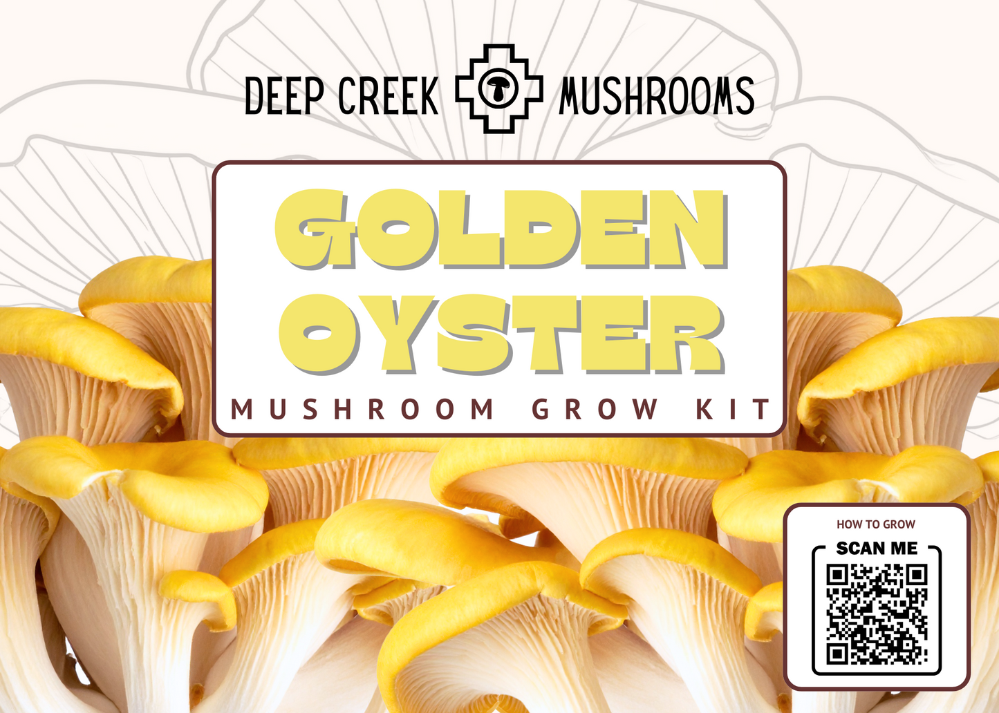 Golden Oyster Mushroom Grow Kit (5LB)